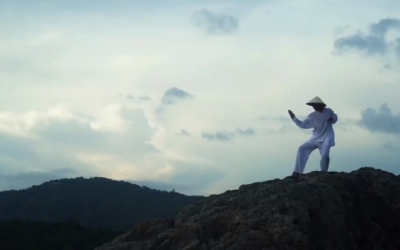 DISCOVERING THE WORLD OF TAI CHI