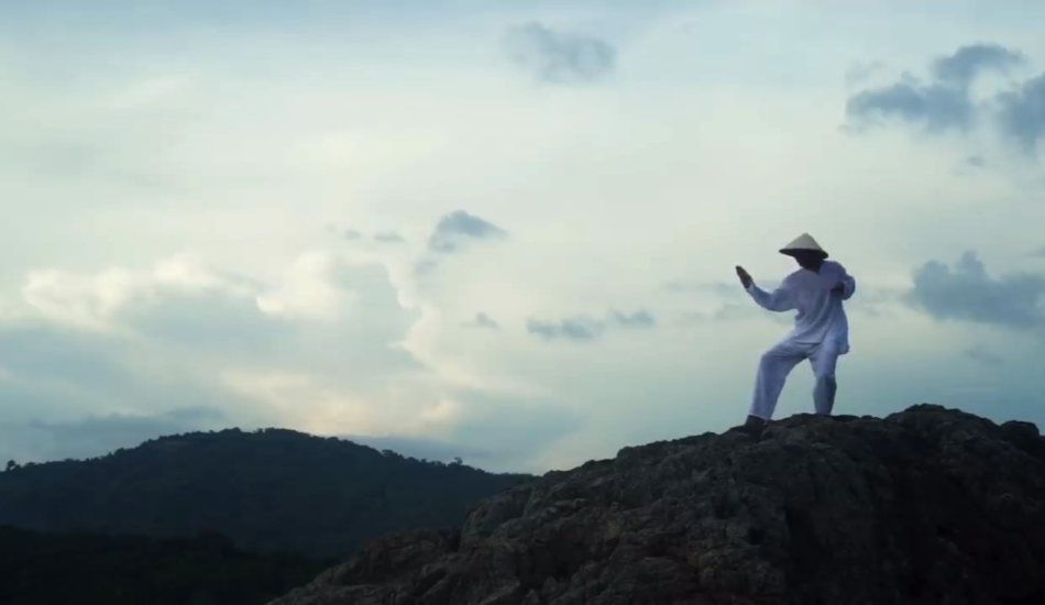 DISCOVERING THE WORLD OF TAI CHI